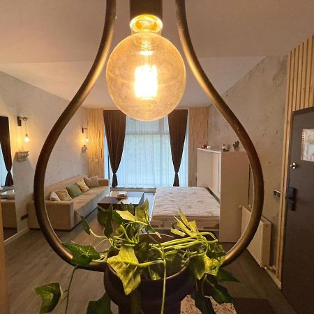Apartament Mat Rent Poiana Brașov Zewnętrze zdjęcie